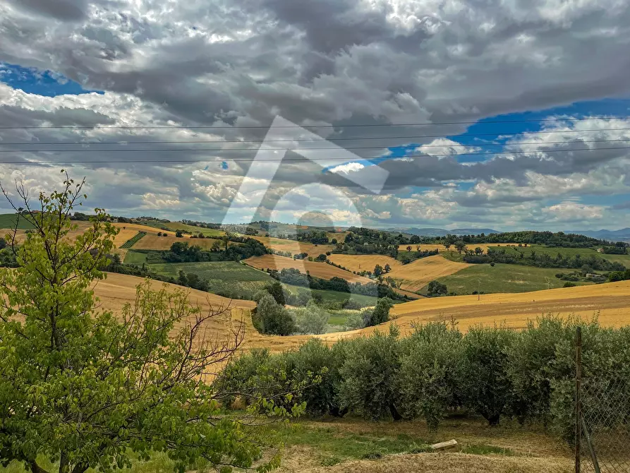 Immagine 6 di Casa indipendente in vendita  a Jesi