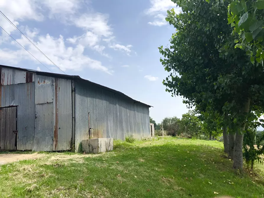 Immagine 5 di Terreno agricolo in vendita  a Jesi