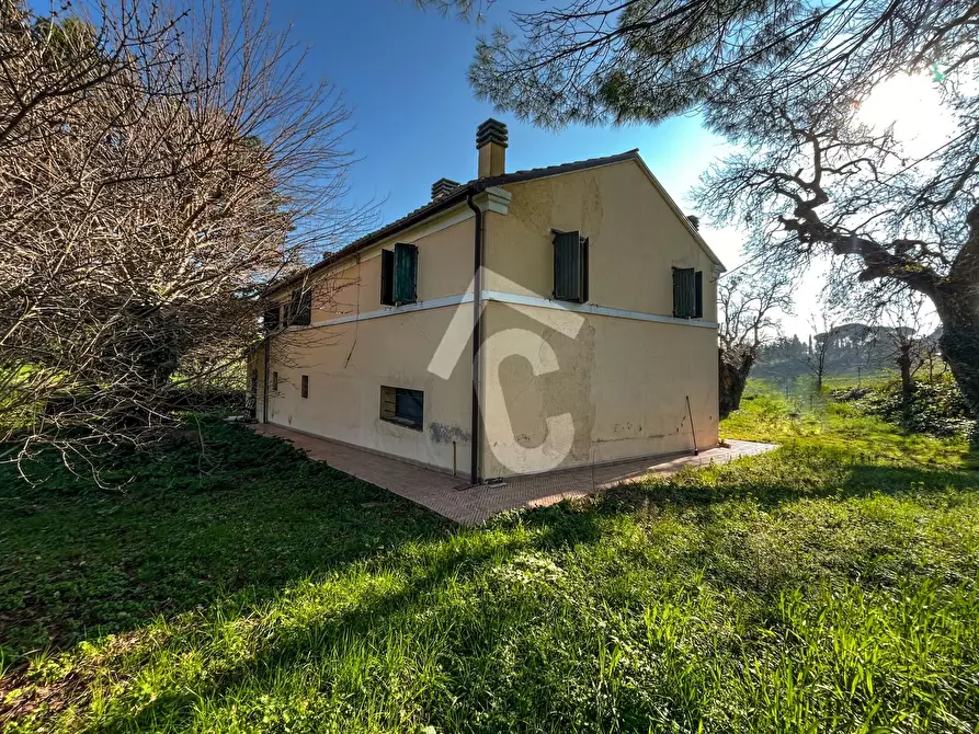 Immagine 39 di Rustico / casale in vendita  a Jesi