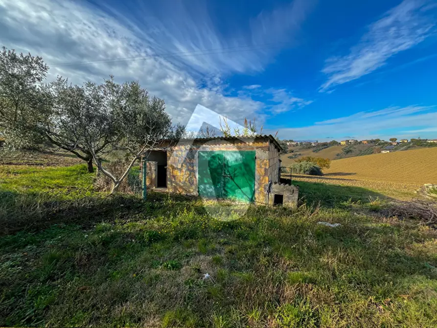 Immagine 28 di Rustico / casale in vendita  a Belvedere Ostrense