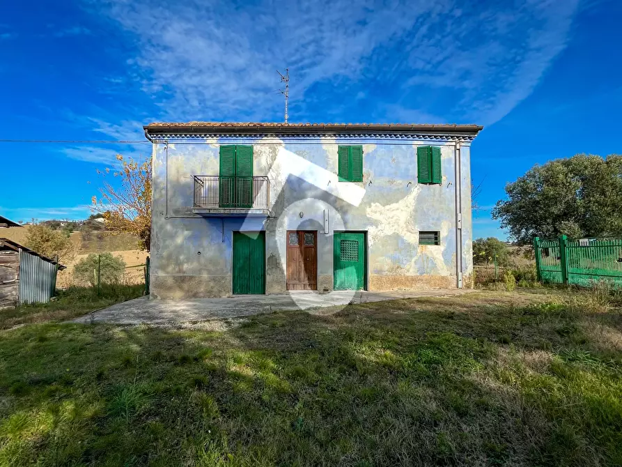 Immagine 7 di Rustico / casale in vendita  a Belvedere Ostrense