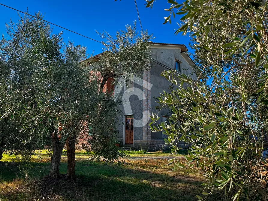 Immagine 15 di Casa indipendente in vendita  a Montecarotto