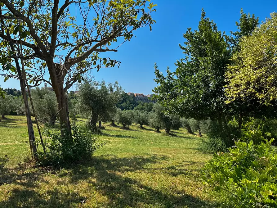 Immagine 36 di Rustico / casale in vendita  a Maiolati Spontini