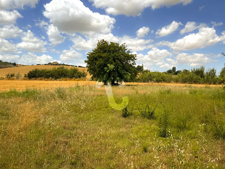 Immagine 2 di Rustico / casale in vendita  a Monte Roberto