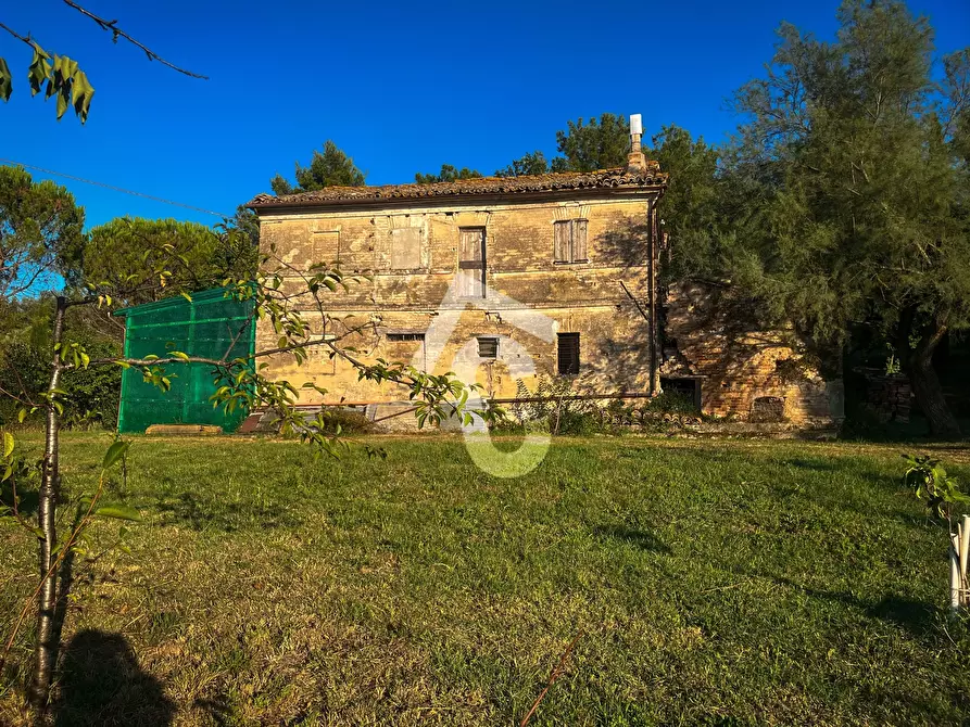 Immagine 10 di Rustico / casale in vendita  a Jesi