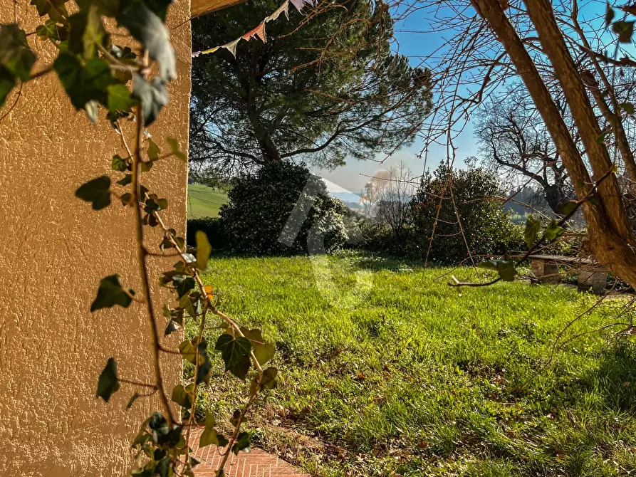 Immagine 32 di Rustico / casale in vendita  a Jesi