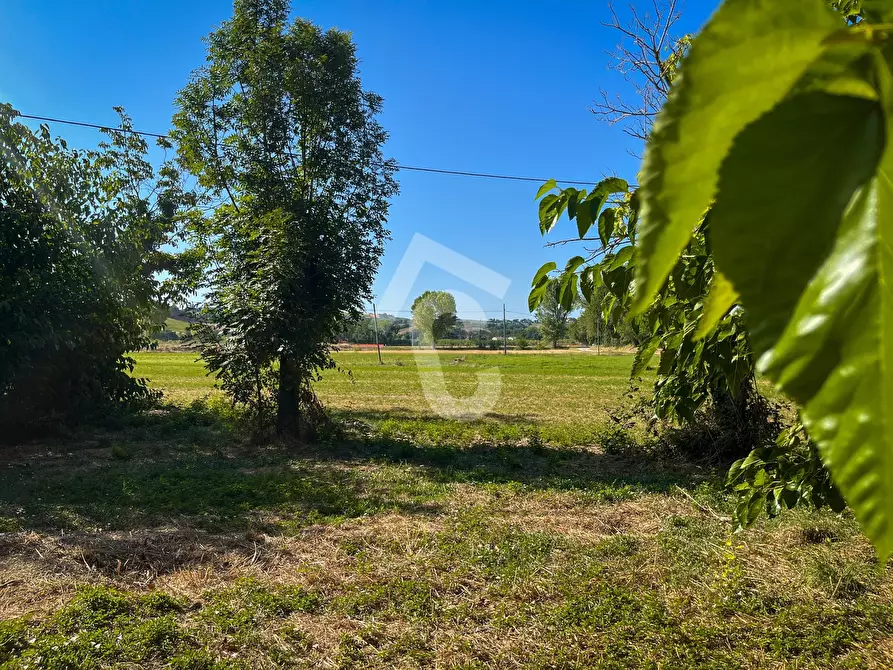 Immagine 3 di Rustico / casale in vendita  a Senigallia