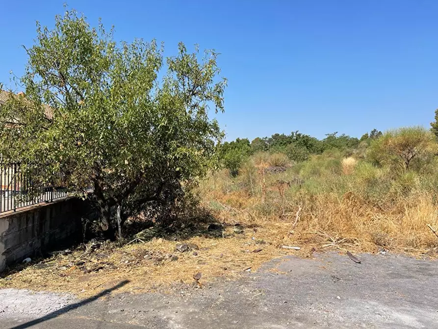 Immagine 6 di Terreno agricolo in vendita  a Tremestieri Etneo