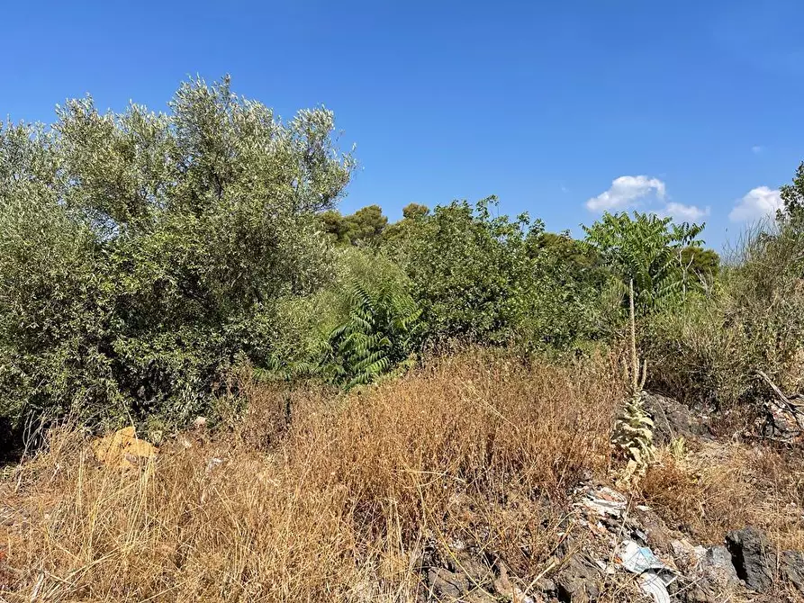 Immagine 4 di Terreno agricolo in vendita  a Tremestieri Etneo
