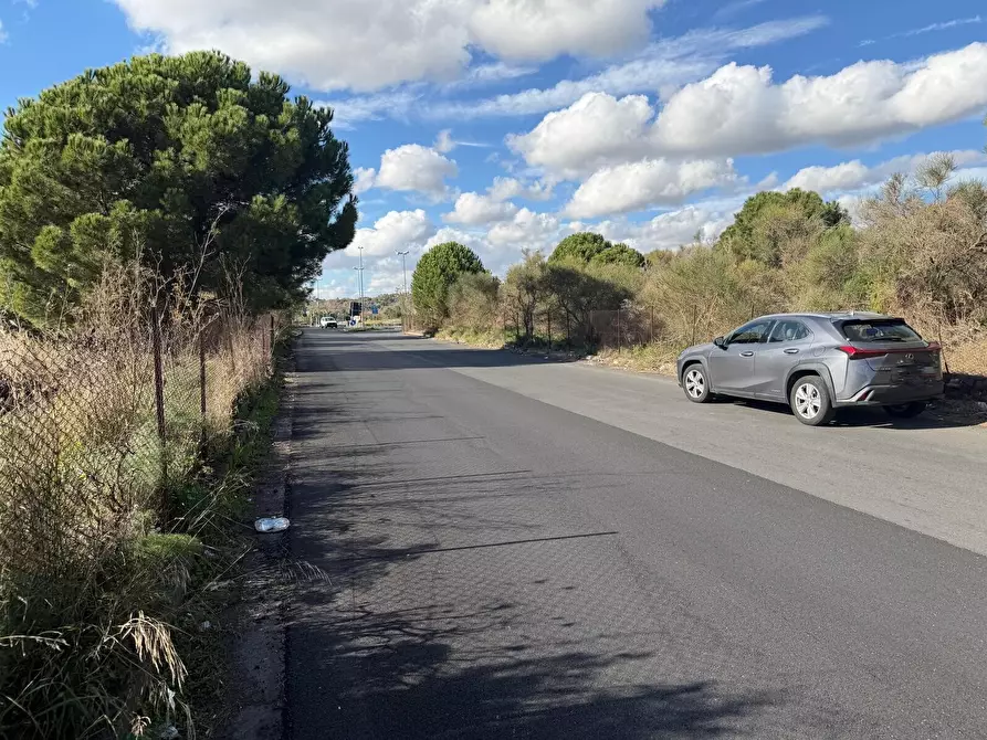 Immagine 4 di Terreno agricolo in vendita  a Nicolosi