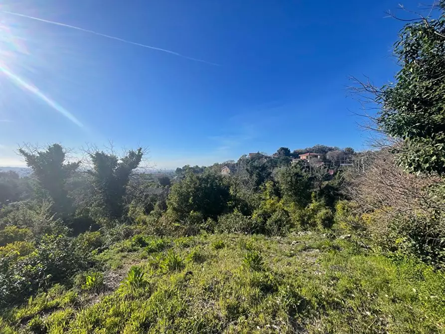 Immagine 10 di Terreno industriale in vendita  a Trecastagni
