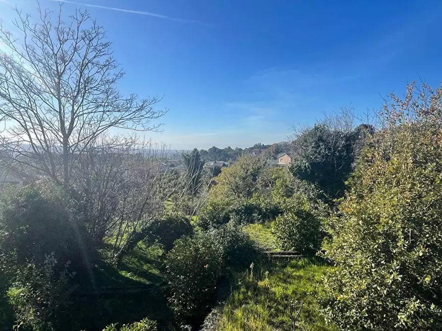 Immagine 18 di Terreno industriale in vendita  a Trecastagni