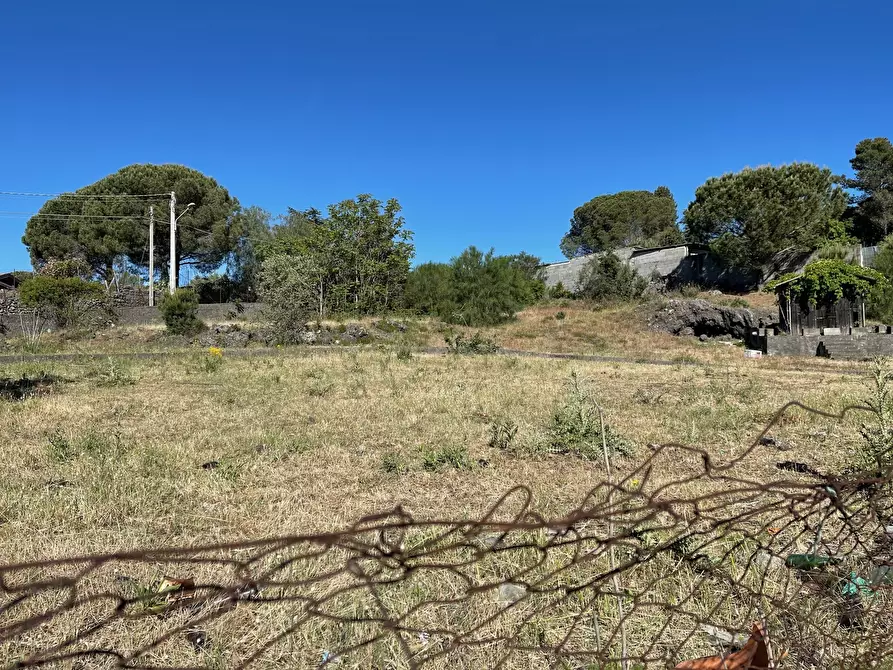 Immagine 5 di Terreno industriale in vendita  a Pedara