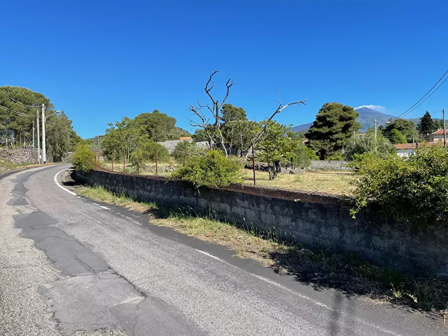 Immagine 4 di Terreno industriale in vendita  a Pedara