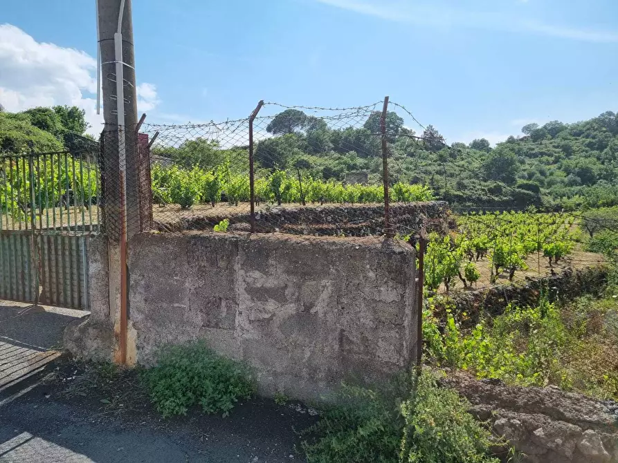 Immagine 16 di Terreno agricolo in vendita  a Tremestieri Etneo