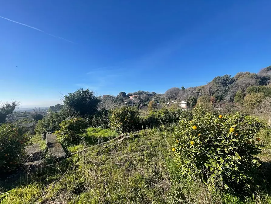 Immagine 15 di Terreno industriale in vendita  a Trecastagni