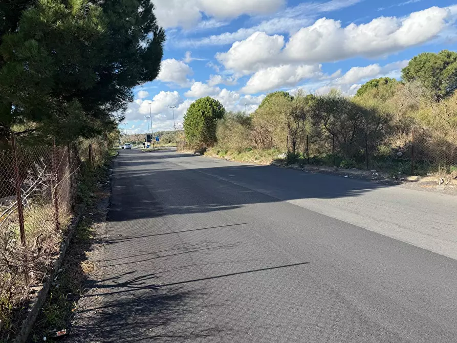 Immagine 5 di Terreno agricolo in vendita  a Nicolosi