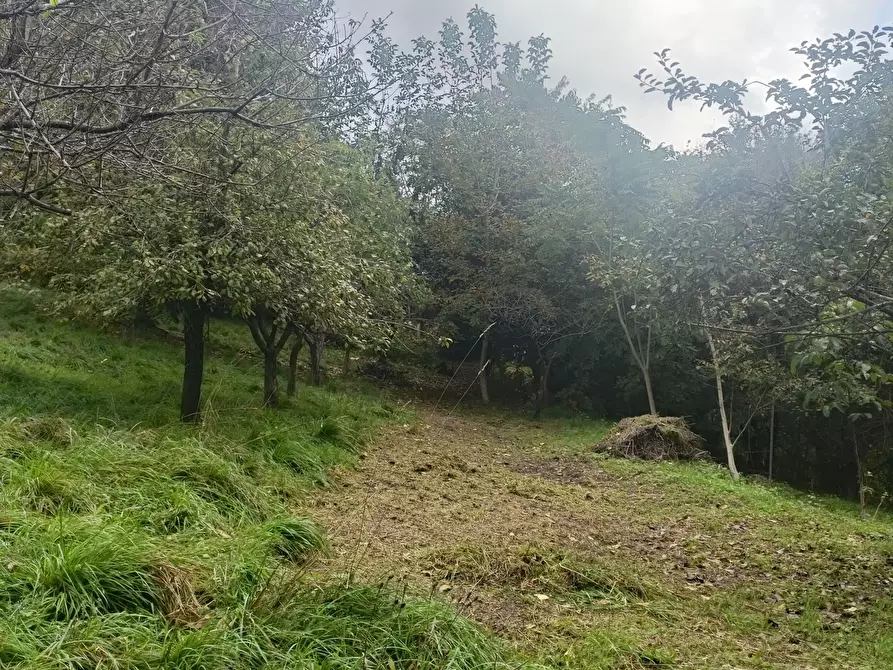 Immagine 29 di Casa indipendente in vendita  in Via Calcinara di Torbi 19 a Ceranesi