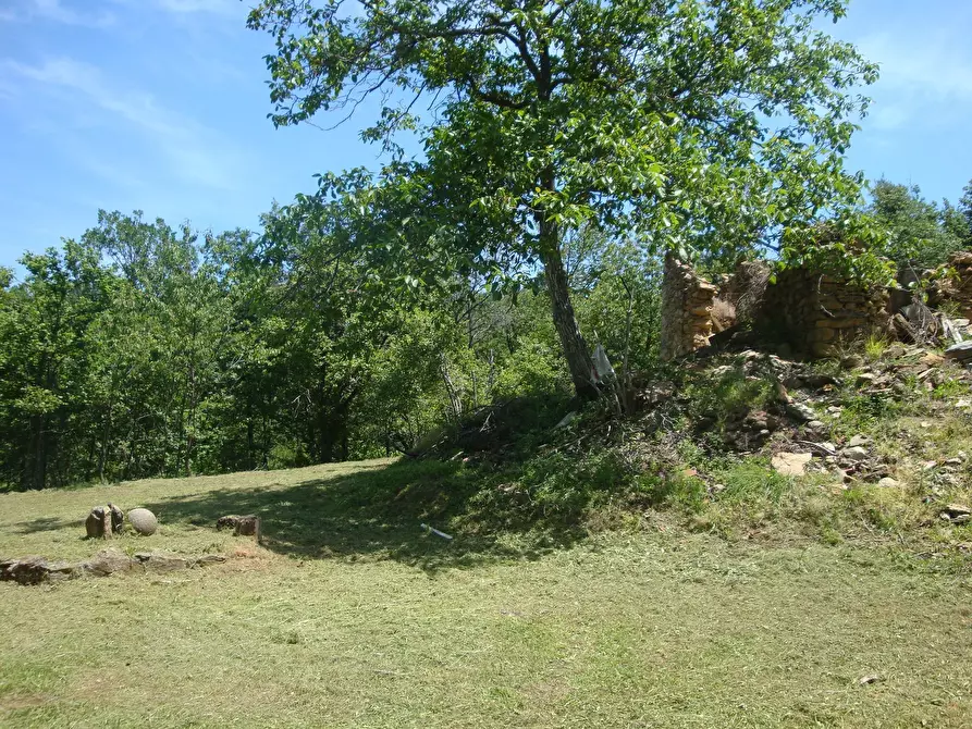 Immagine 2 di Terreno edificabile in vendita  in loc. Palo - Patare 1 a Sassello