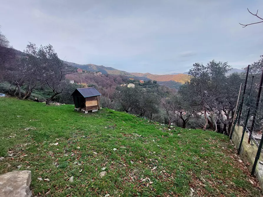 Immagine 34 di Trilocale in vendita  in Via San Pantaleo a Genova