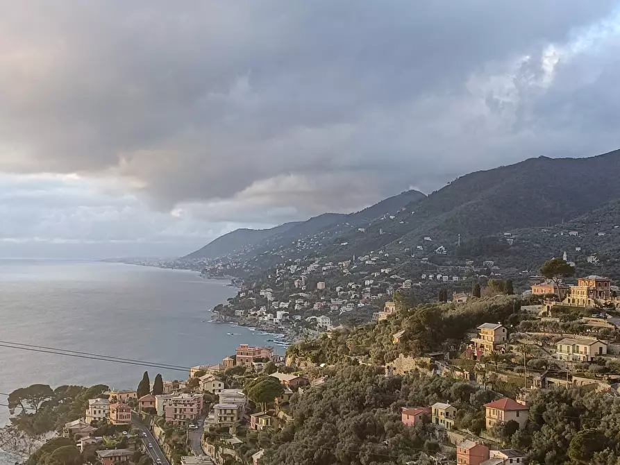 Immagine 2 di Trilocale in vendita  in Via Aurelia 36 a Camogli