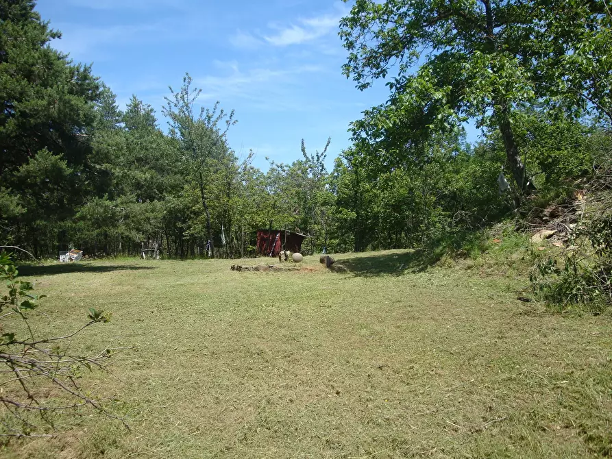 Immagine 5 di Terreno edificabile in vendita  in loc. Palo - Patare 1 a Sassello