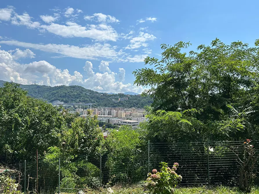 Immagine 18 di Quadrilocale in vendita  in Via Coronata 69 a Genova
