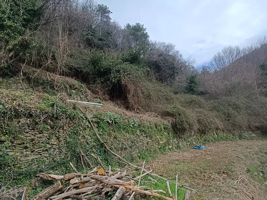 Immagine 19 di Casa indipendente in vendita  in Via Gino Pellegrini 10 a Varazze
