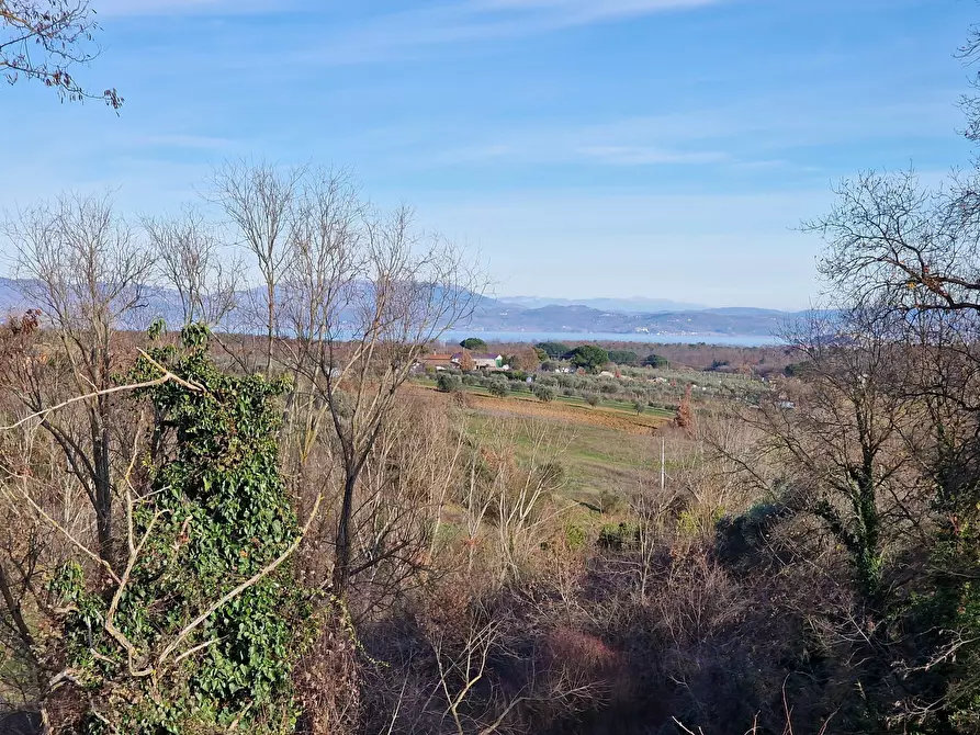 Immagine 40 di Casa bifamiliare in vendita  in Via Milano a Castiglione Del Lago