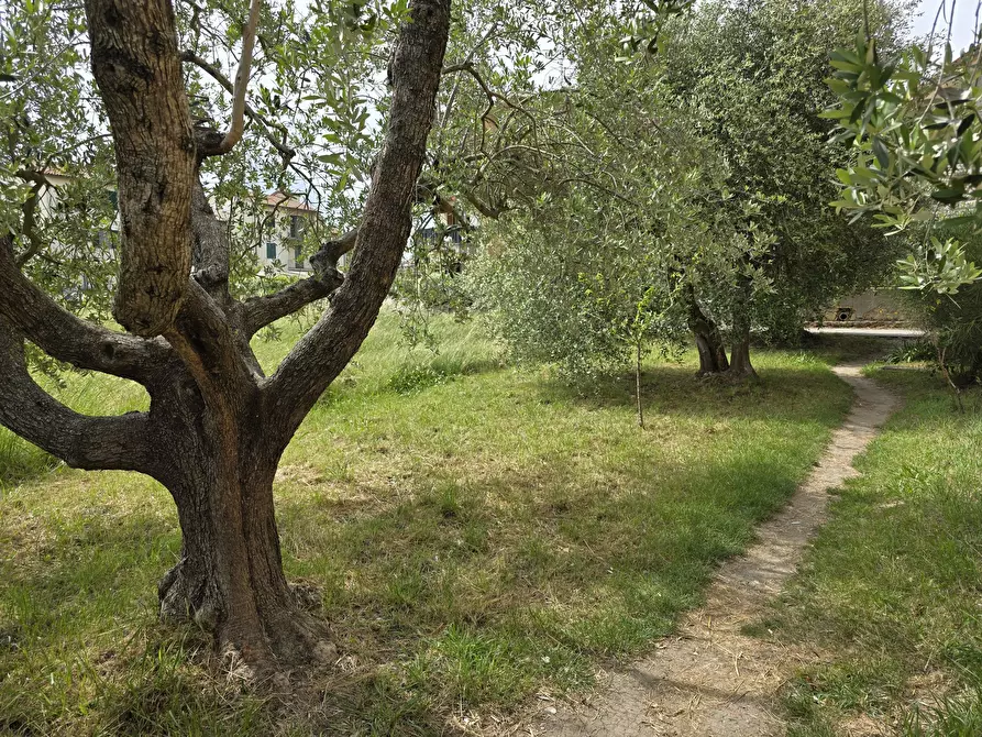 Immagine 49 di Quadrilocale in vendita  in Via Trento a Castiglione Del Lago