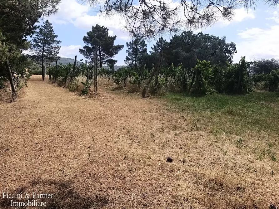 Immagine 6 di Rustico / casale in vendita  in 342W+VM Panicale a Panicale