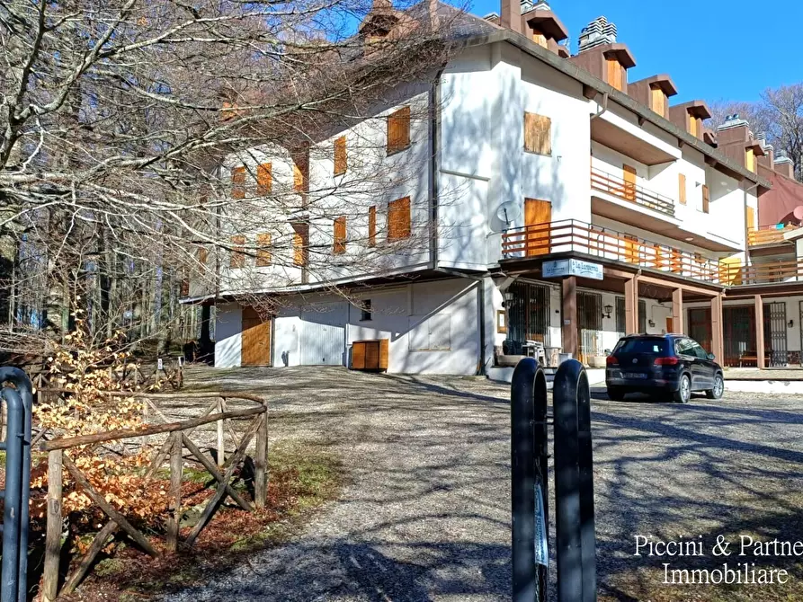 Immagine 33 di Bilocale in vendita  in Prato della Marsiliana Monte Amiata a Seggiano