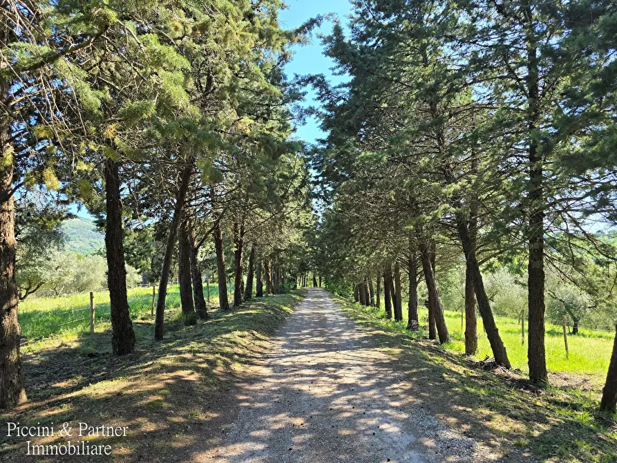 Immagine 3 di Rustico / casale in vendita  in Migianella a Umbertide
