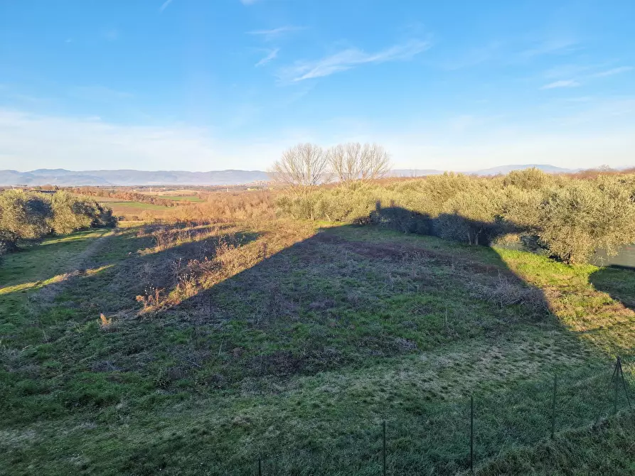 Immagine 45 di Casa bifamiliare in vendita  in Via San Biagio a Castiglione Del Lago