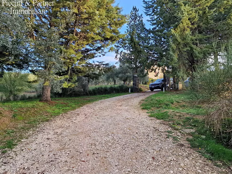 Immagine 4 di Rustico / casale in vendita  in Vocabolo Mercato Alto a Paciano