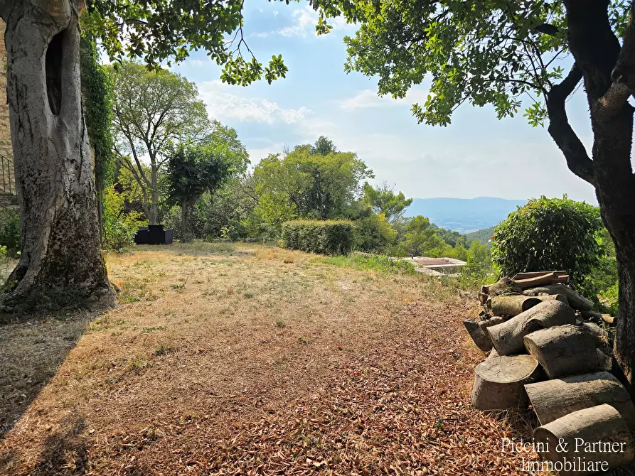 Immagine 76 di Rustico / casale in vendita  in Località Borgiano a Spoleto