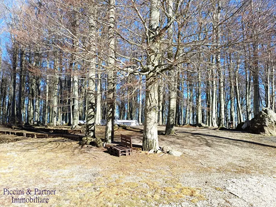 Immagine 4 di Bilocale in vendita  in Prato della Marsiliana Monte Amiata a Seggiano