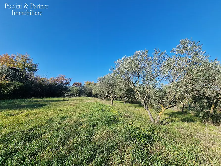 Immagine 83 di Agriturismo in vendita  in Località San Lorenzo a Castel Ritaldi