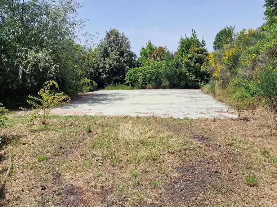 Immagine 65 di Villa in vendita  in Via dei Cespugli 12 a Passignano Sul Trasimeno