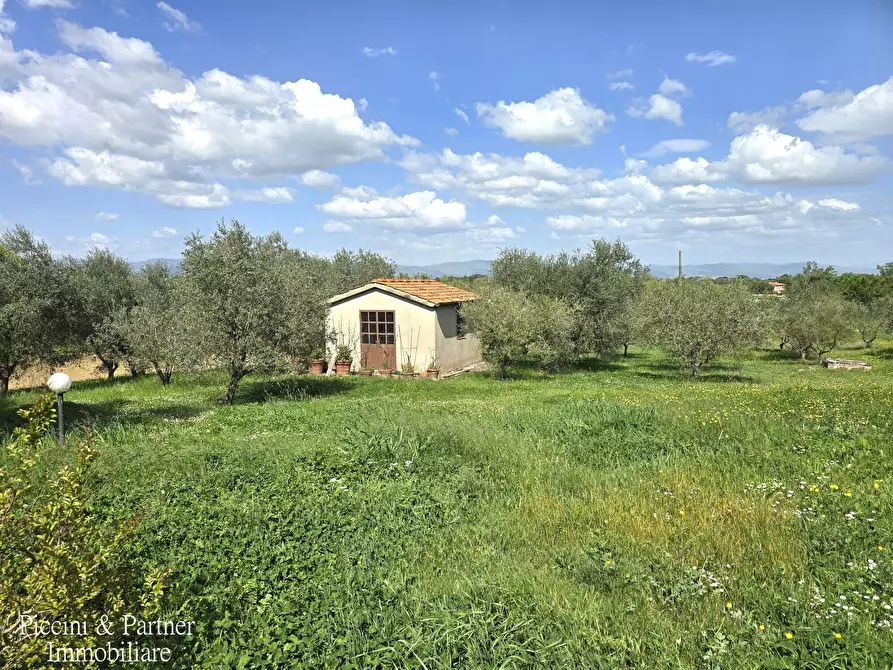 Immagine 94 di Rustico / casale in vendita  in Via Paganico 2 a Castiglione Del Lago