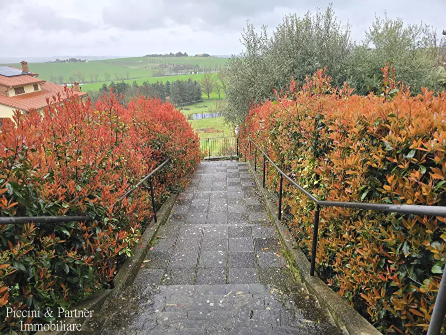 Immagine 3 di Pentalocale in vendita  in Via di Pretola a Paciano