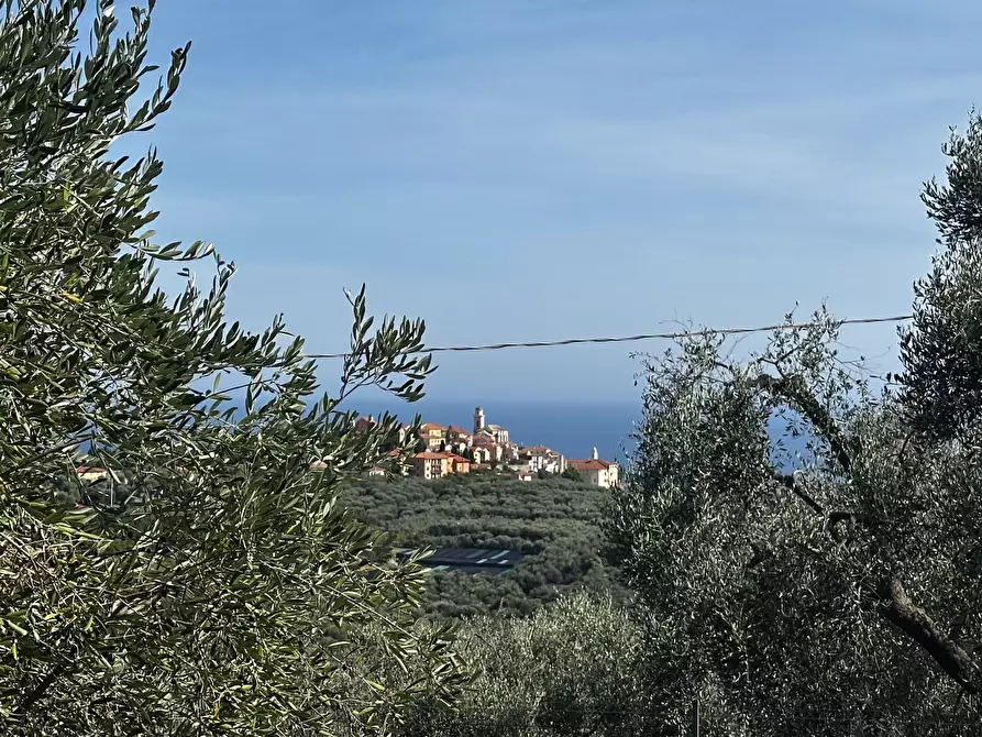 Immagine 32 di Rustico / casale in vendita  in Via Madonna Della Neve a Diano Castello