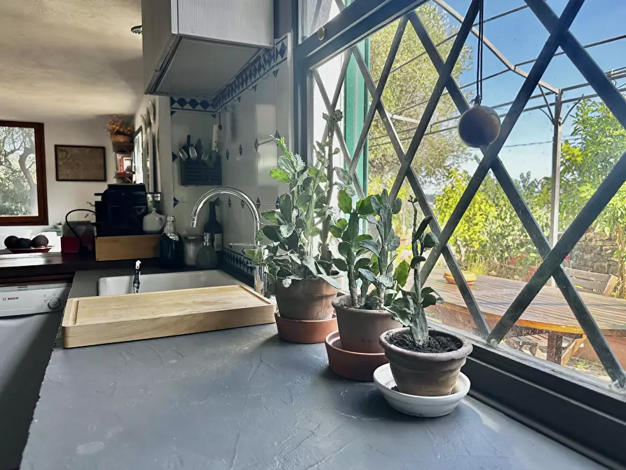 Immagine 17 di Rustico / casale in vendita  in Via Madonna Della Neve a Diano Castello