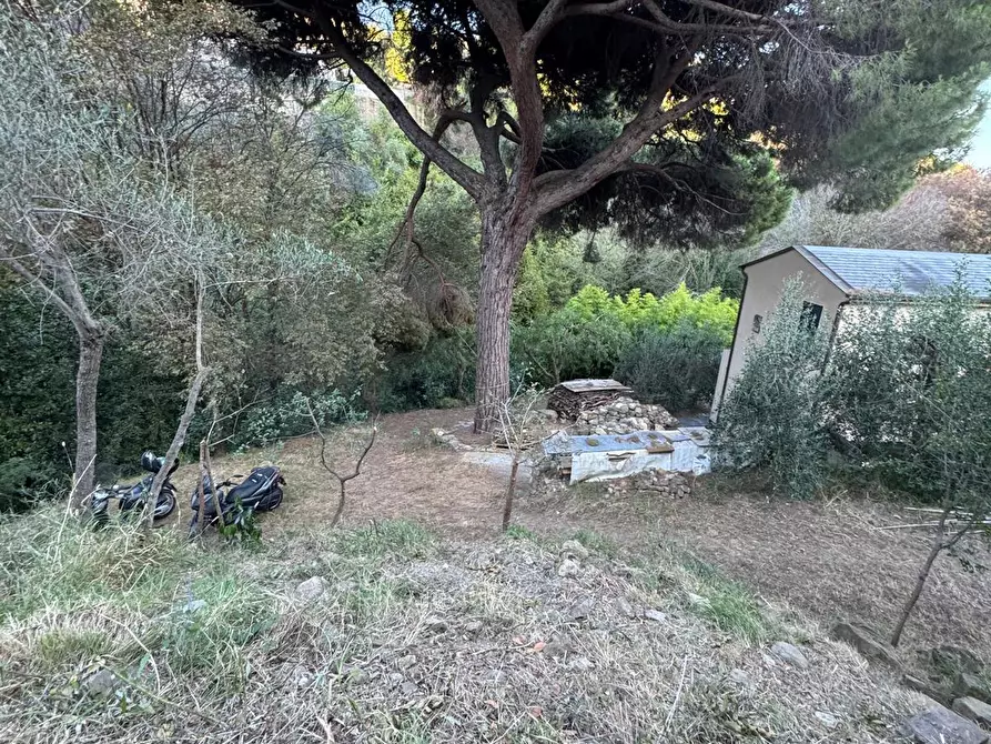 Immagine 9 di Rustico / casale in vendita  in Via Val D'Olivi 185 a San Remo