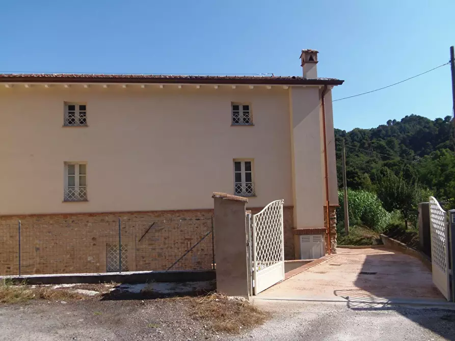 Immagine 2 di Casa semindipendente in affitto  a Camaiore