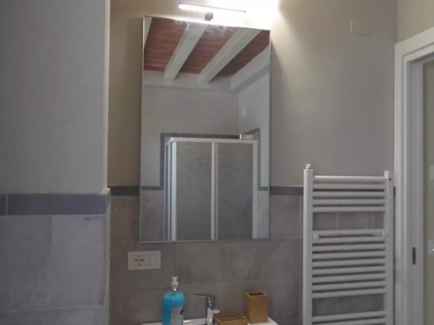 Immagine 24 di Casa semindipendente in affitto  a Camaiore