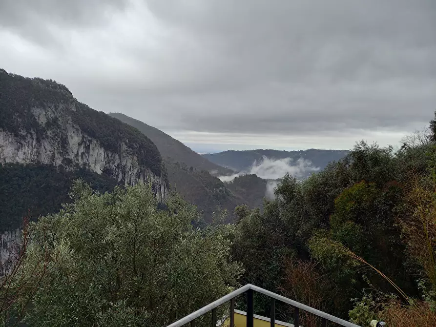 Immagine 16 di Porzione di casa in affitto  a Camaiore