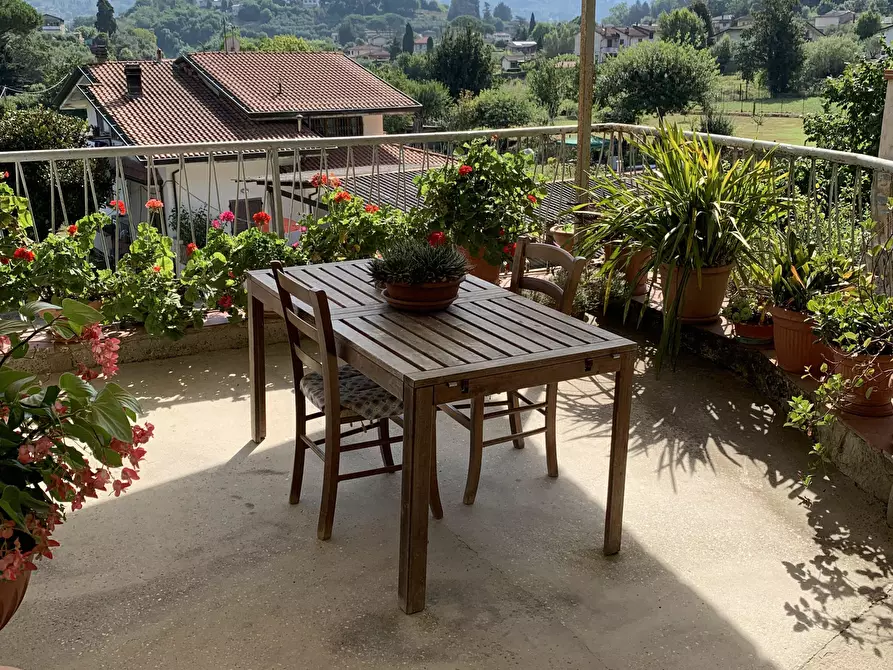 Immagine 14 di Rustico / casale in vendita  a Camaiore