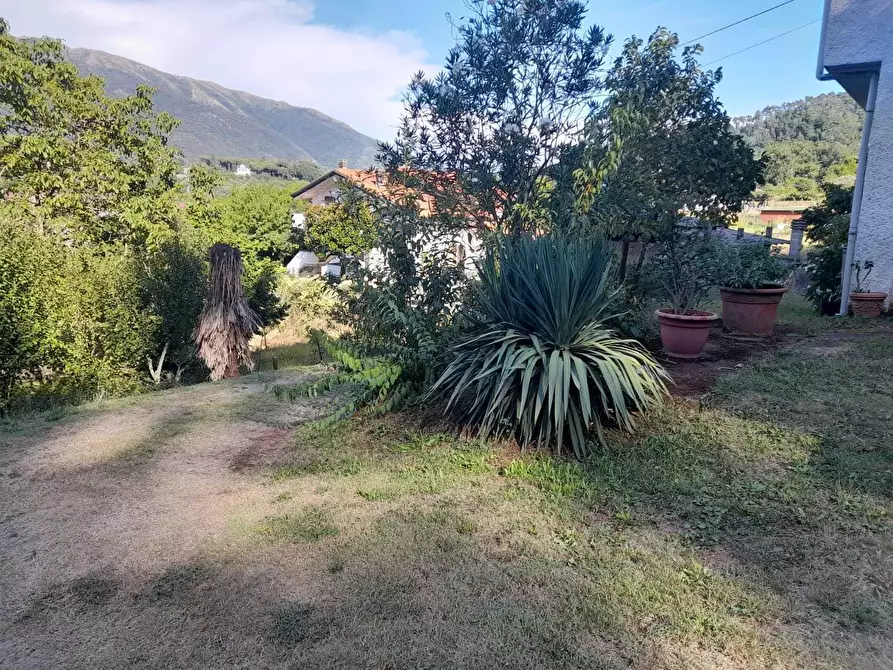 Immagine 49 di Rustico / casale in vendita  a Camaiore