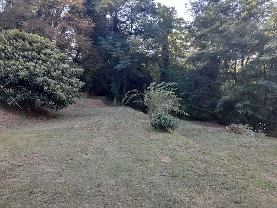 Immagine 50 di Rustico / casale in vendita  a Camaiore